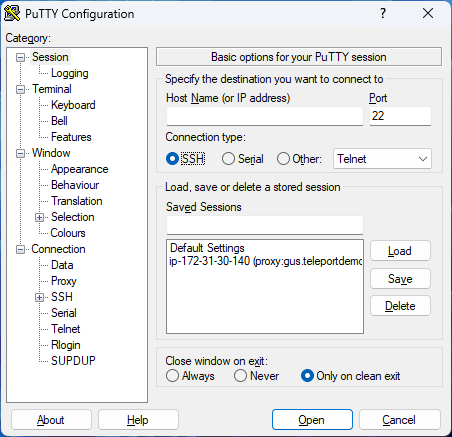 Main PuTTY window